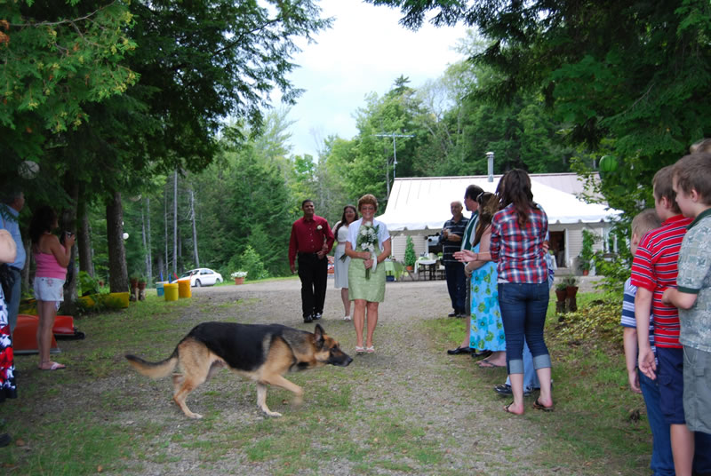 The Wedding Ceremony