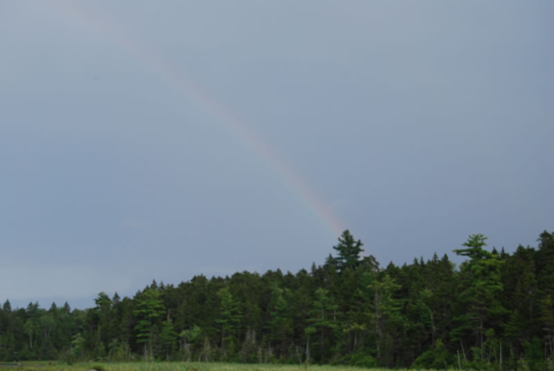 The Wedding Ceremony